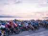 mallorca 312