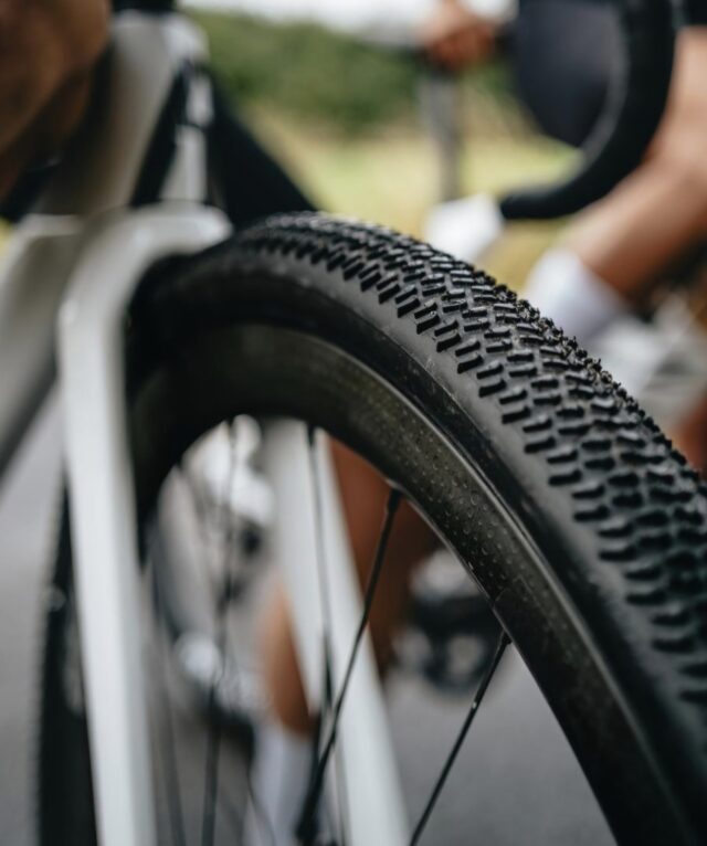 Foto: Schwalbetires