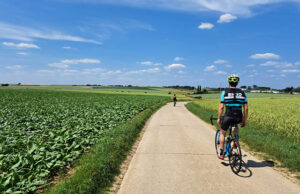 Ciclismo en Flandes